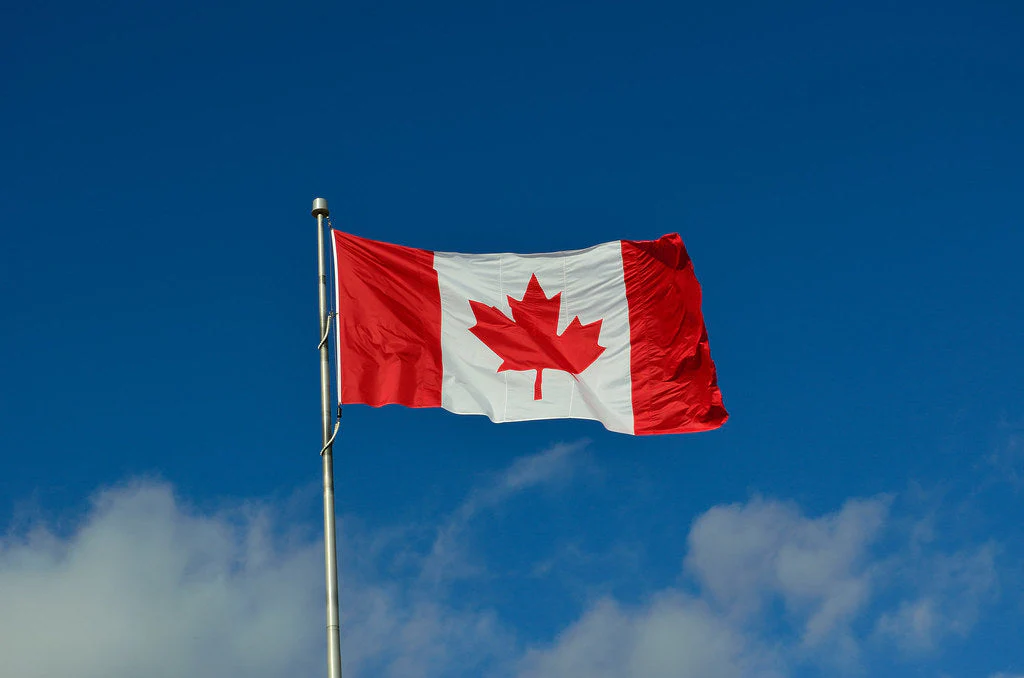 Professional immigration consultant in Ontario office
